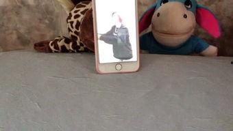 娱乐吃瓜Jerry